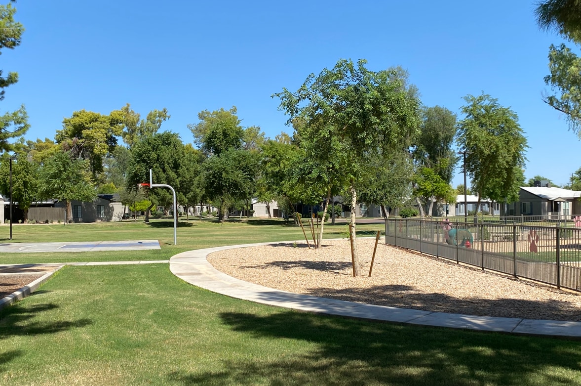 Park Shadows Image 9