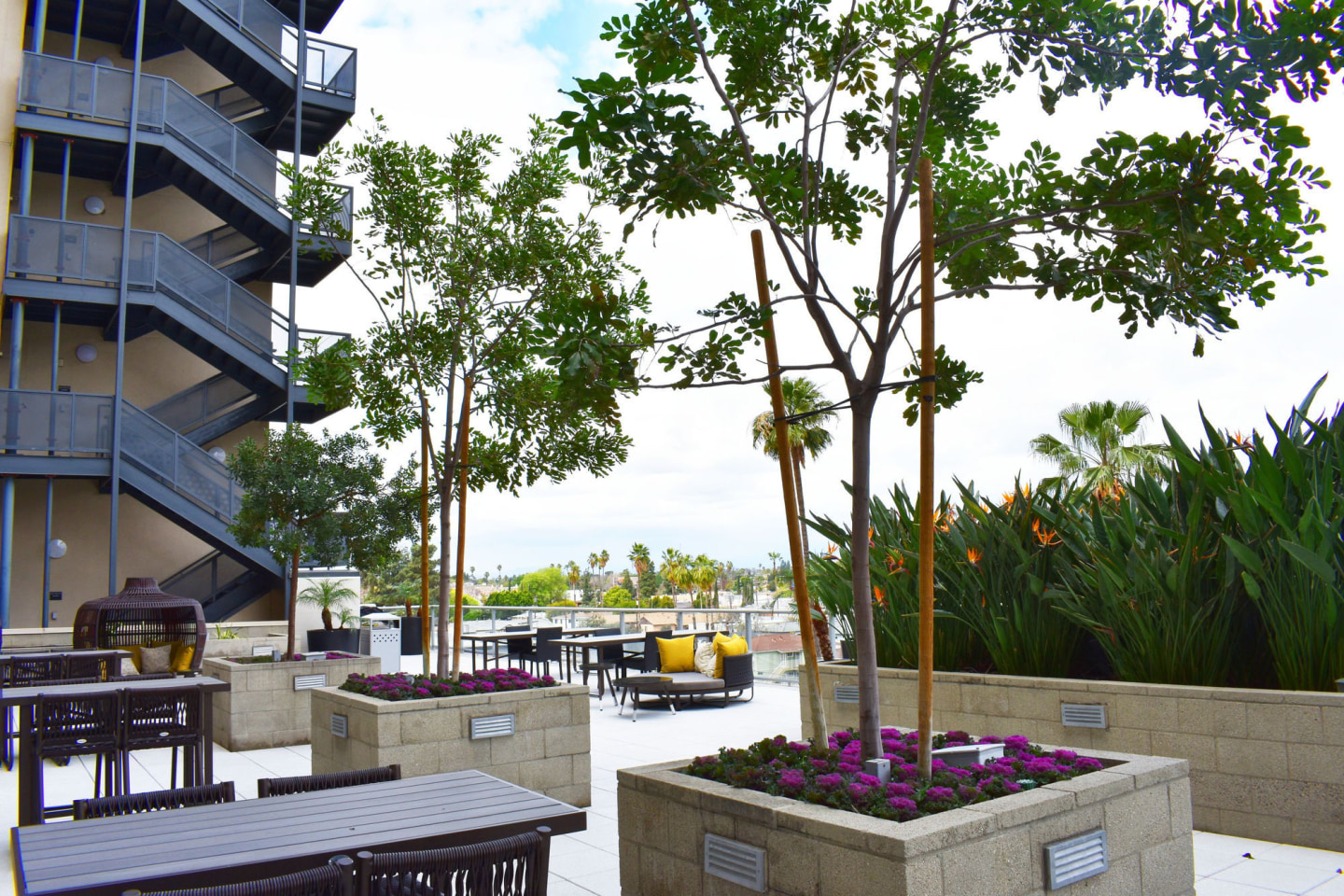 NoHo 14 Image 21