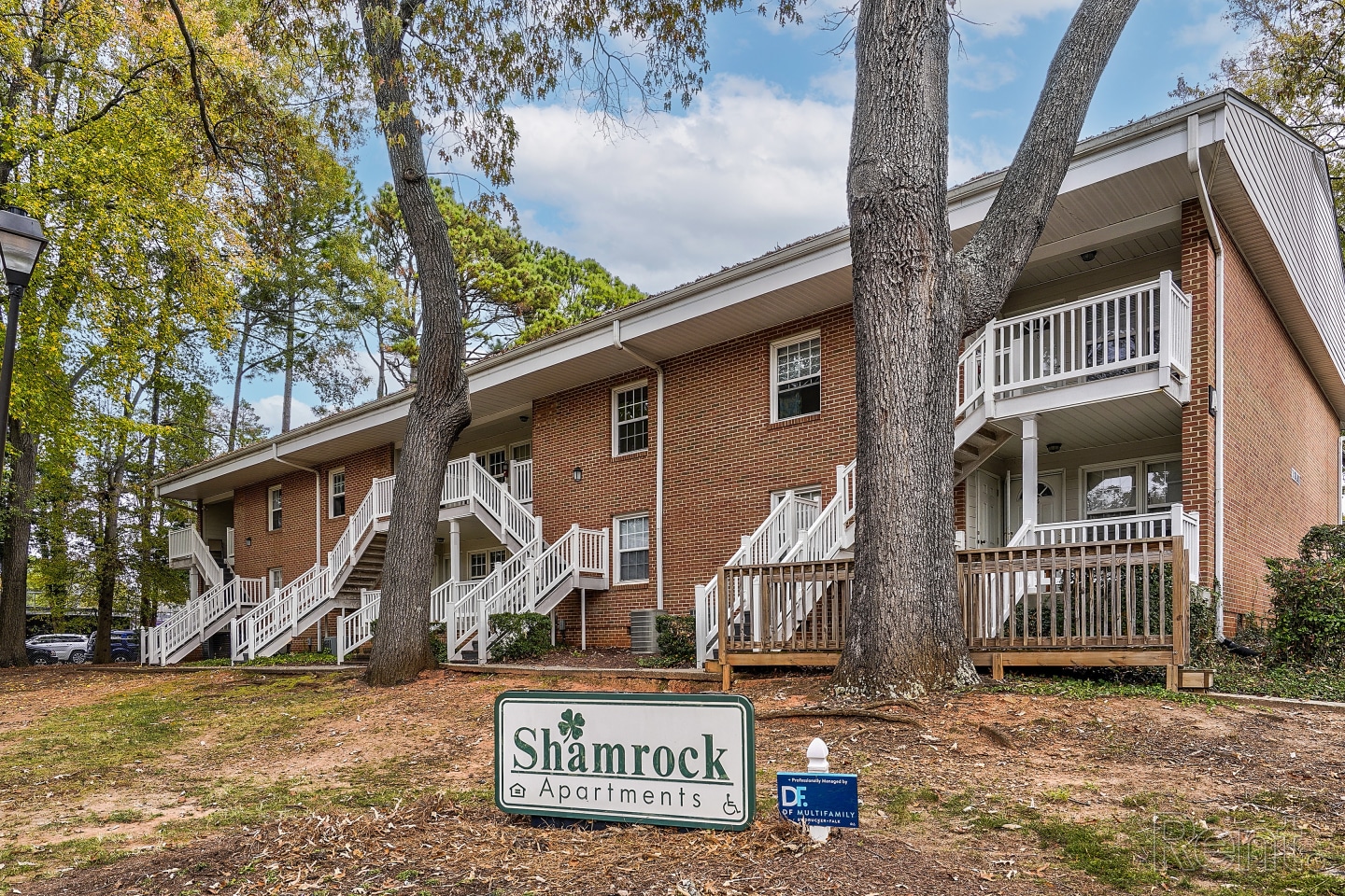 Shamrock Image 13