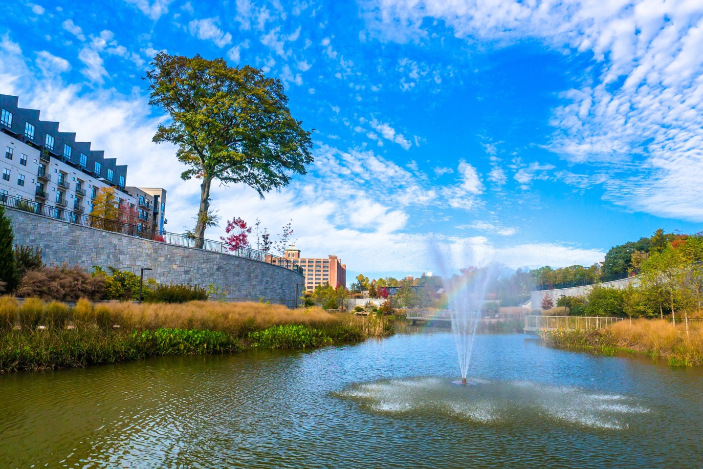 Windsor Interlock Image 42