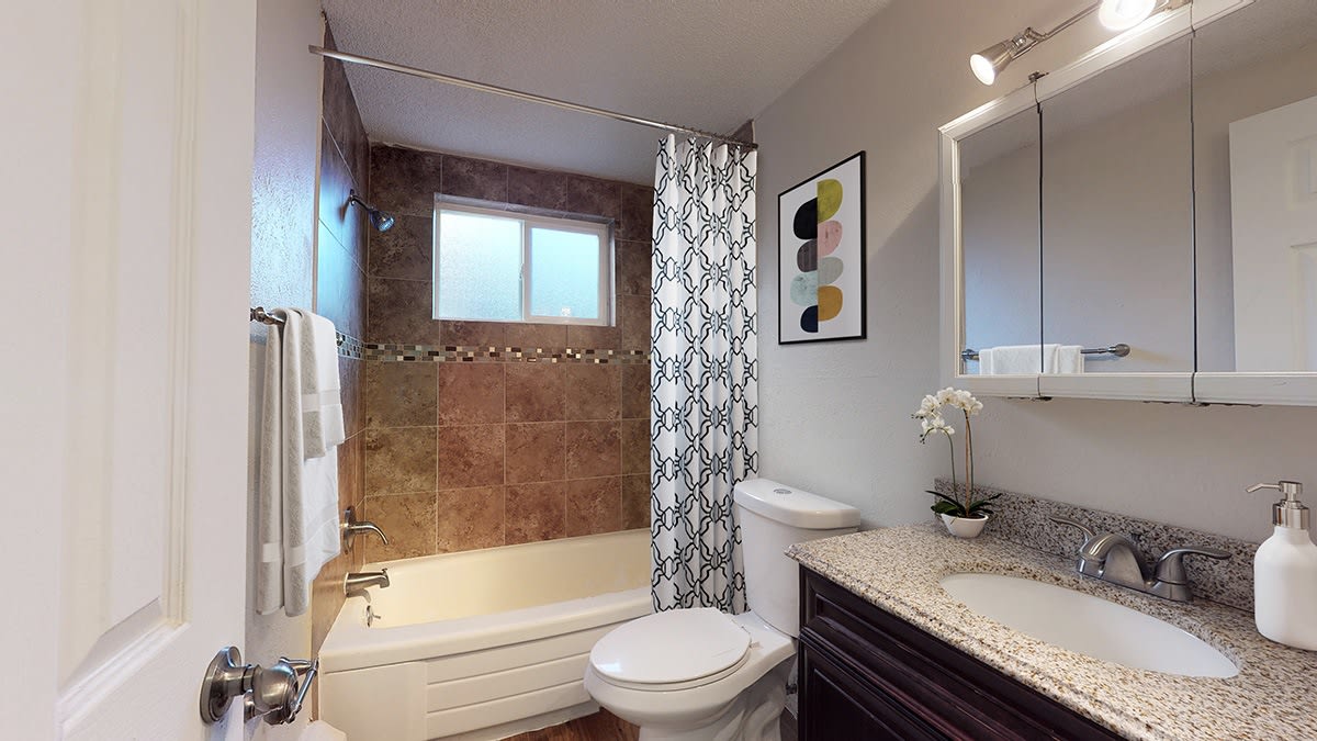 Shenandoah Apartments Image 10