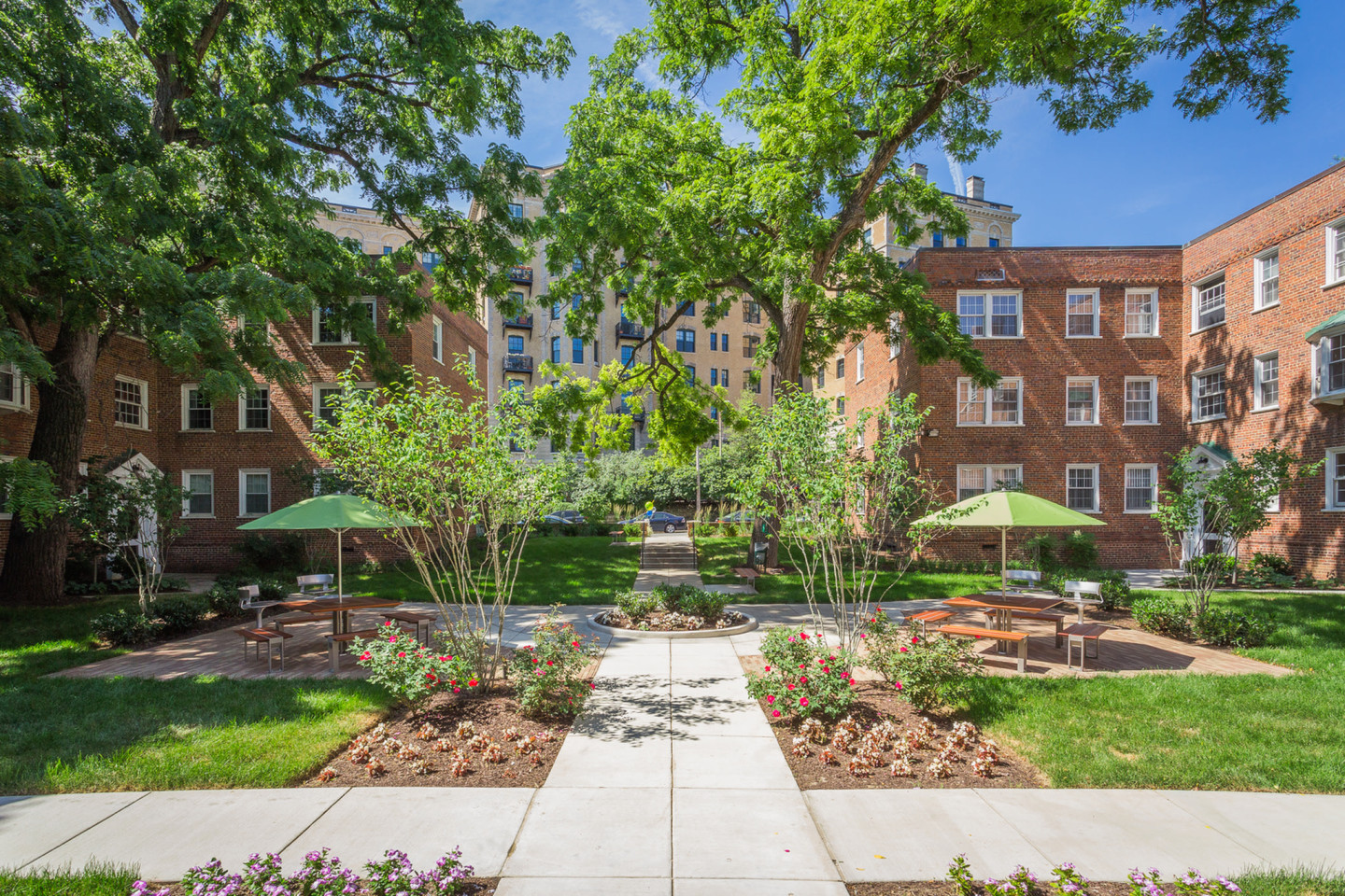 Harvard Village Image 17
