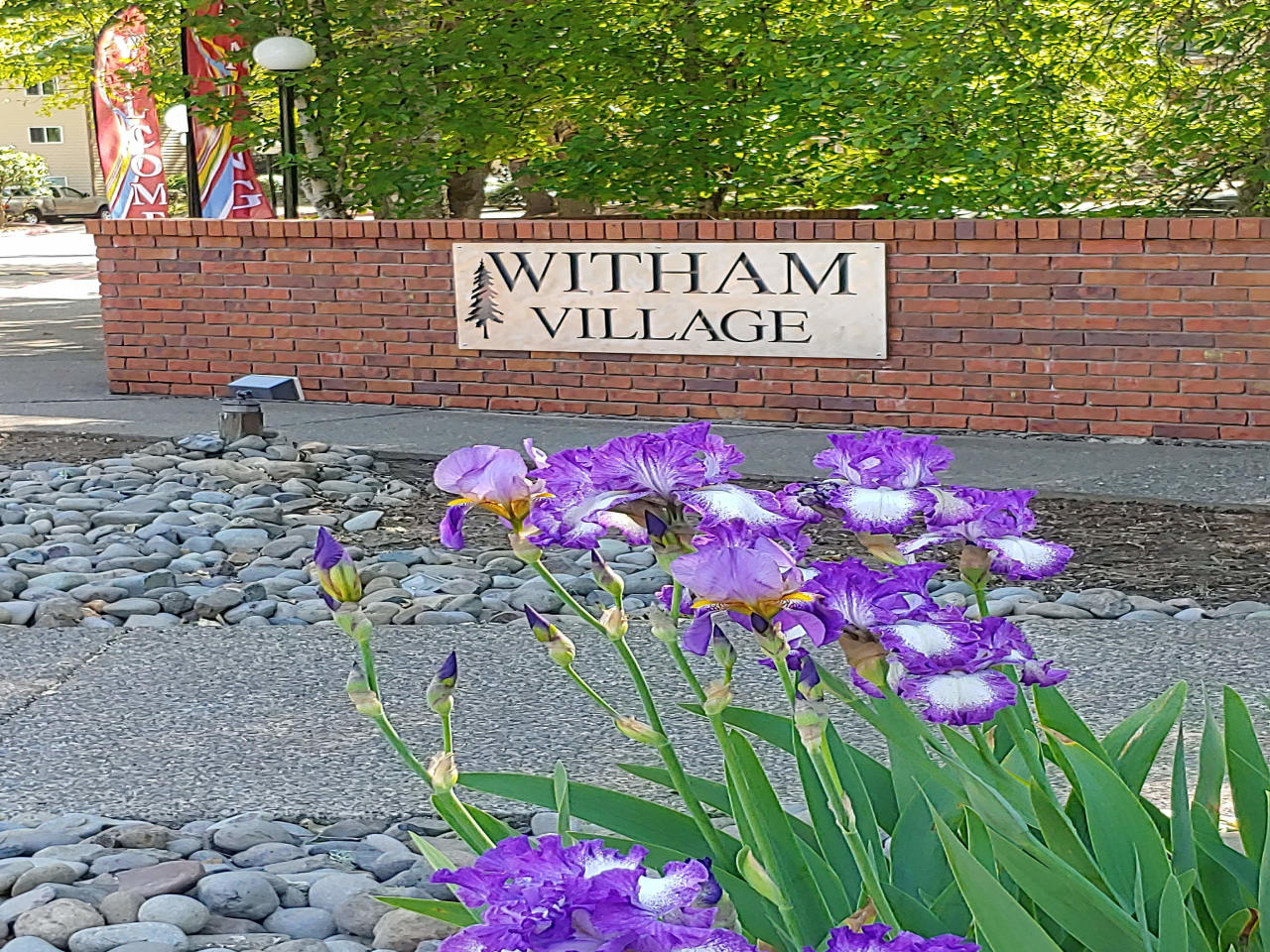 Witham Village Image 1