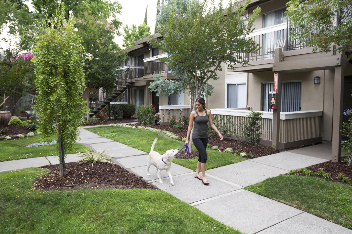 Abby Creek Apartment Homes Image 3