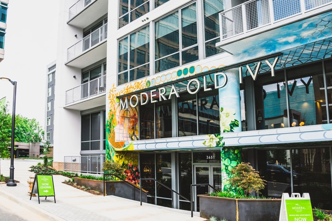 Modera Old Ivy Image 54