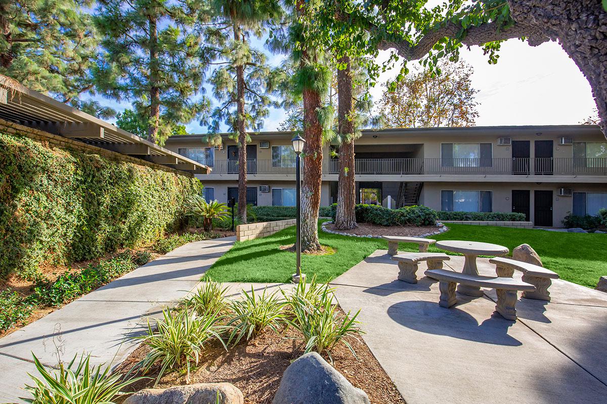 Saddleback Pines Image 15