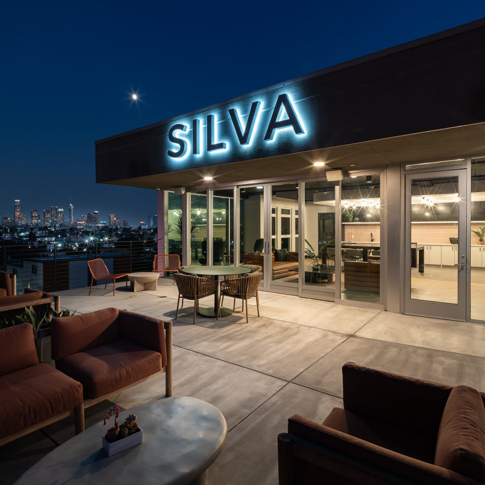Silva Los Angeles Image 5