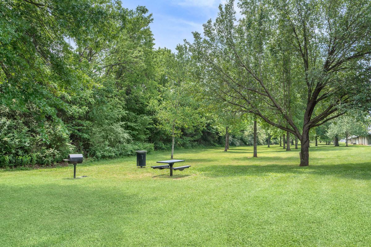 Alder Terrace Image 74