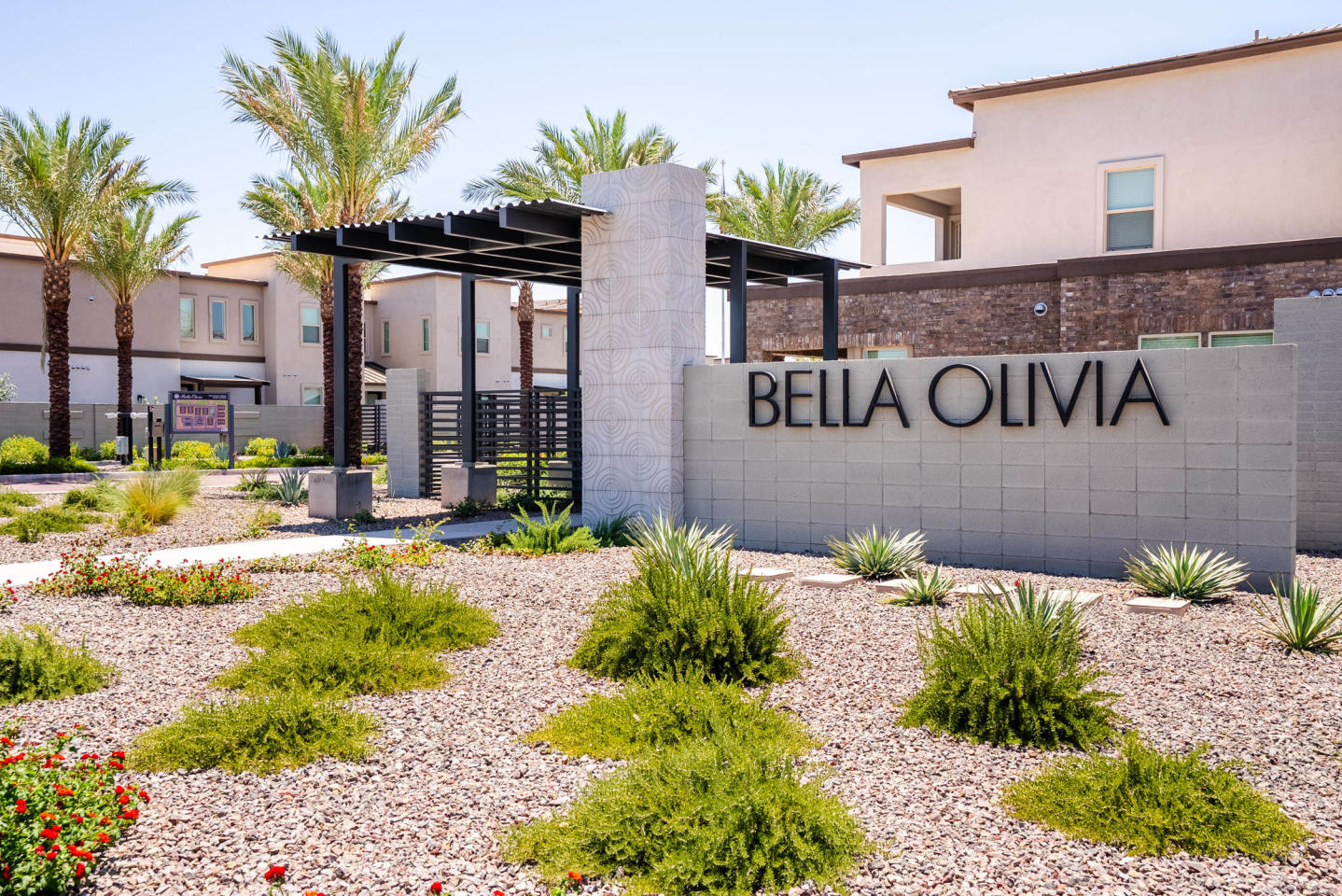 Bella Olivia Image 4