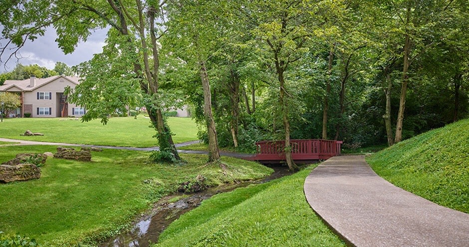 Cooper Creek Image 34