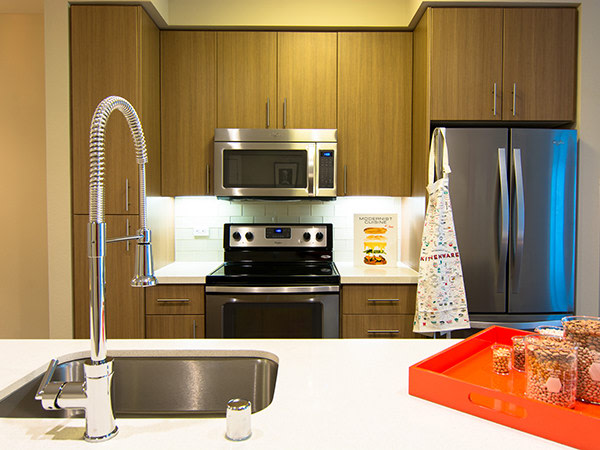 Hearth Image 34