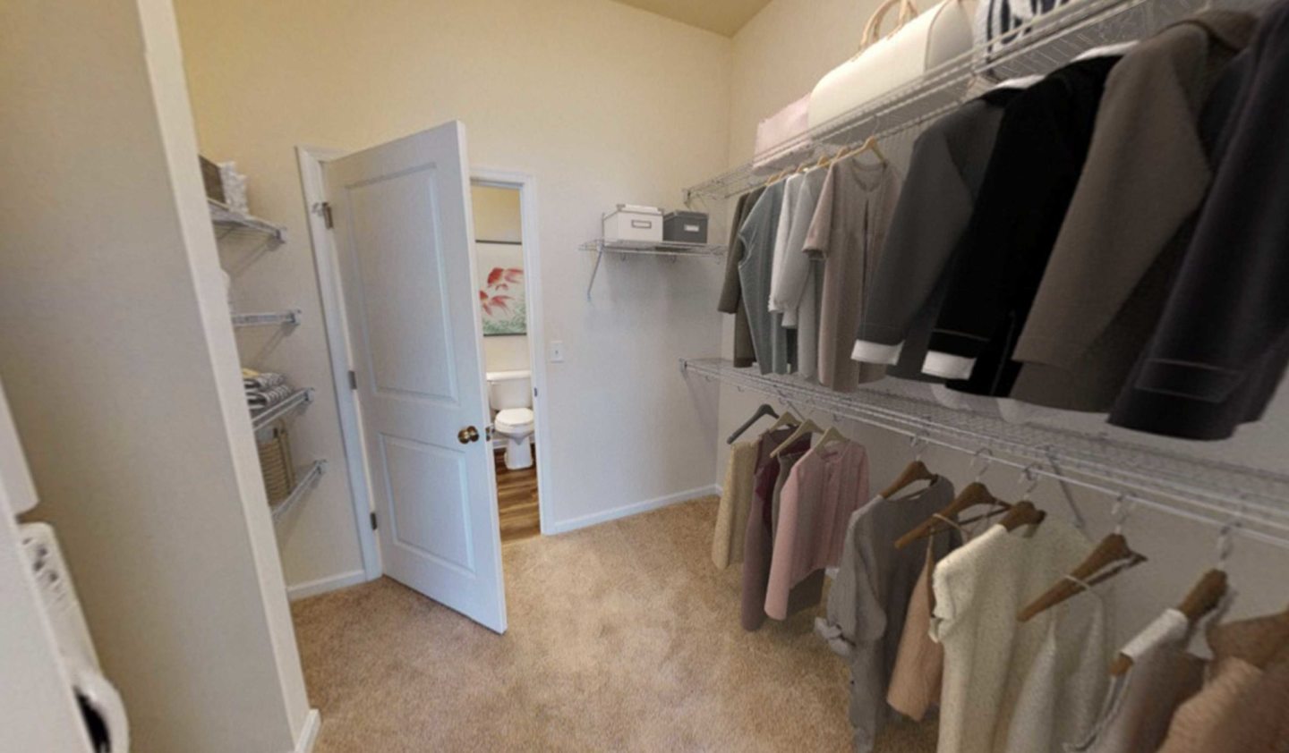 Nexus Image 9