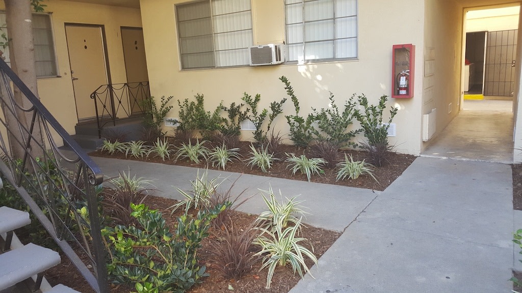 South Olive Image 14