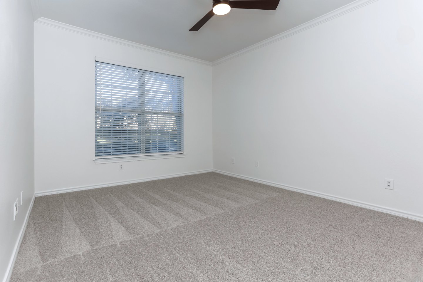 St. Moritz Apartments Image 15