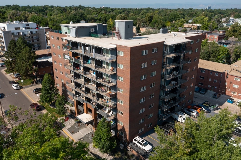 825 Dahlia Image 4