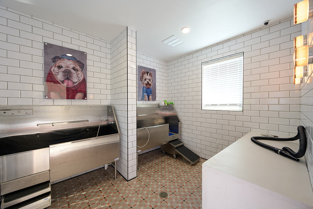 Verge Apartments Image 25