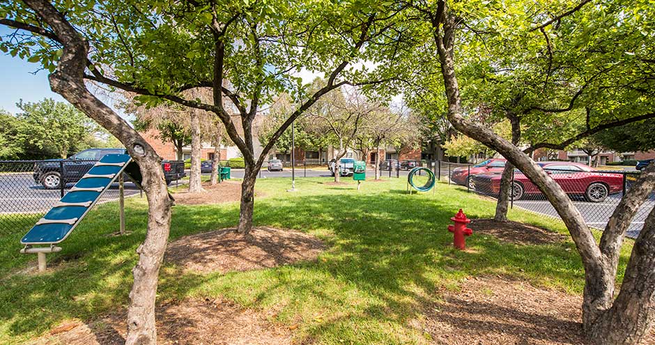 Martin's Point Apartment Homes Image 32