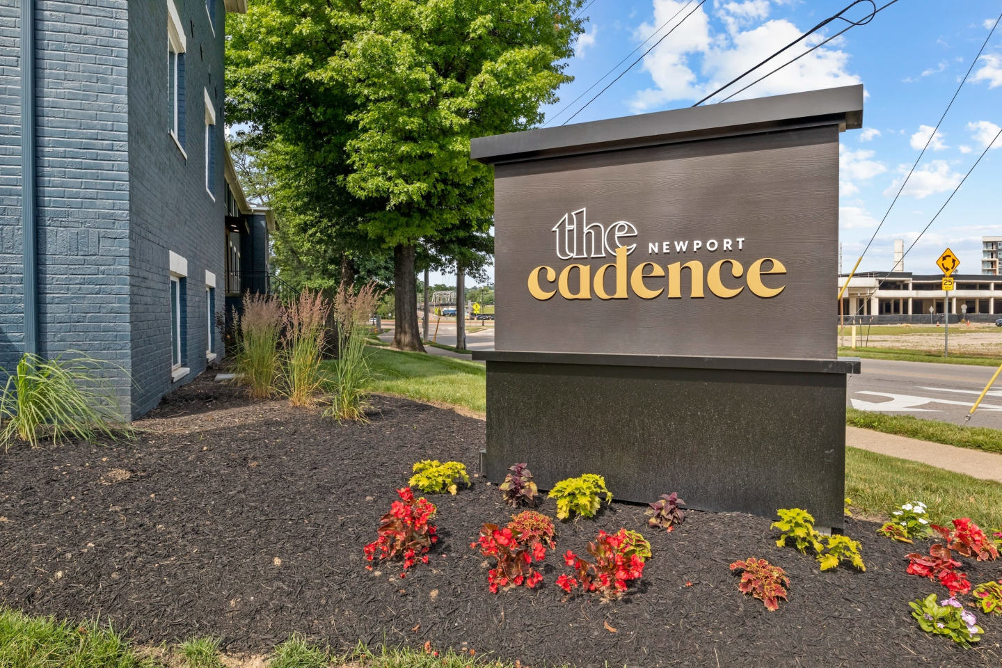 The Cadence Image 15
