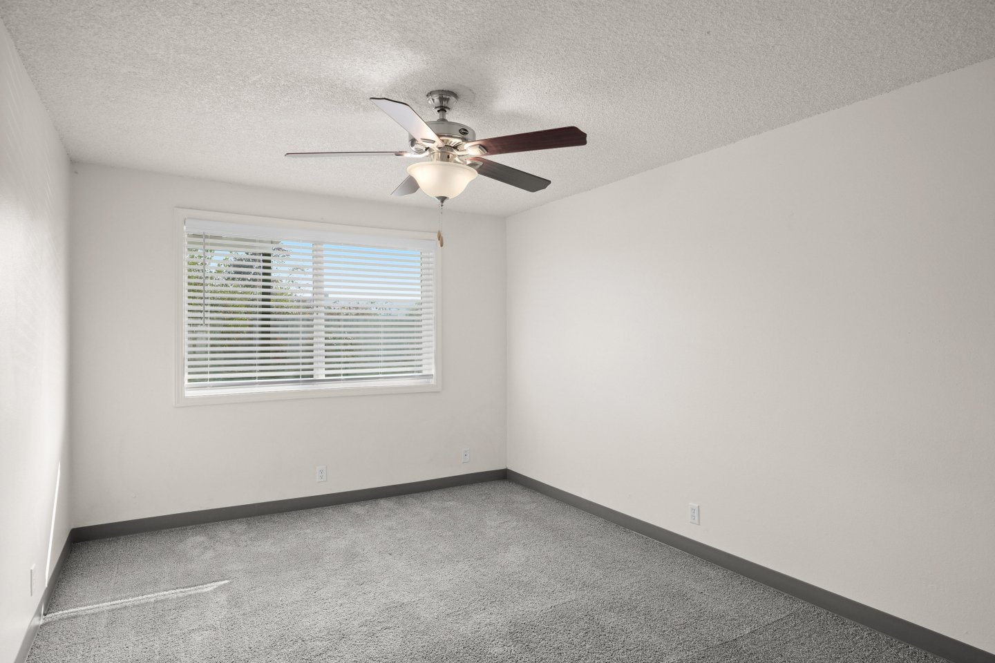 M Street Apartments Image 17