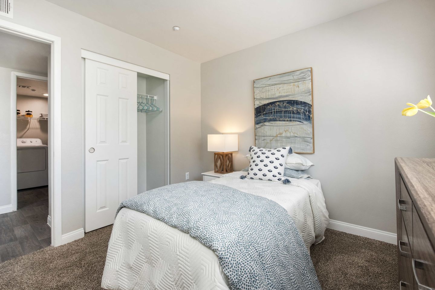 Amara Spring Valley Apartments Image 11