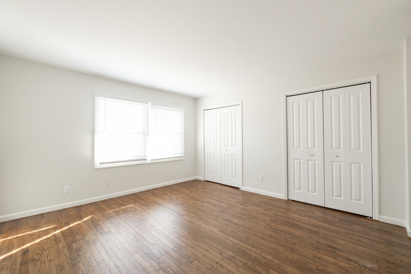 Monon Living Image 33