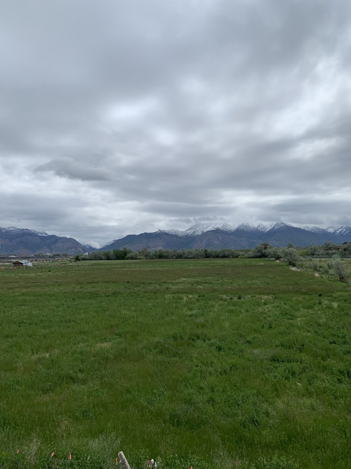 Claradon Village Image 16
