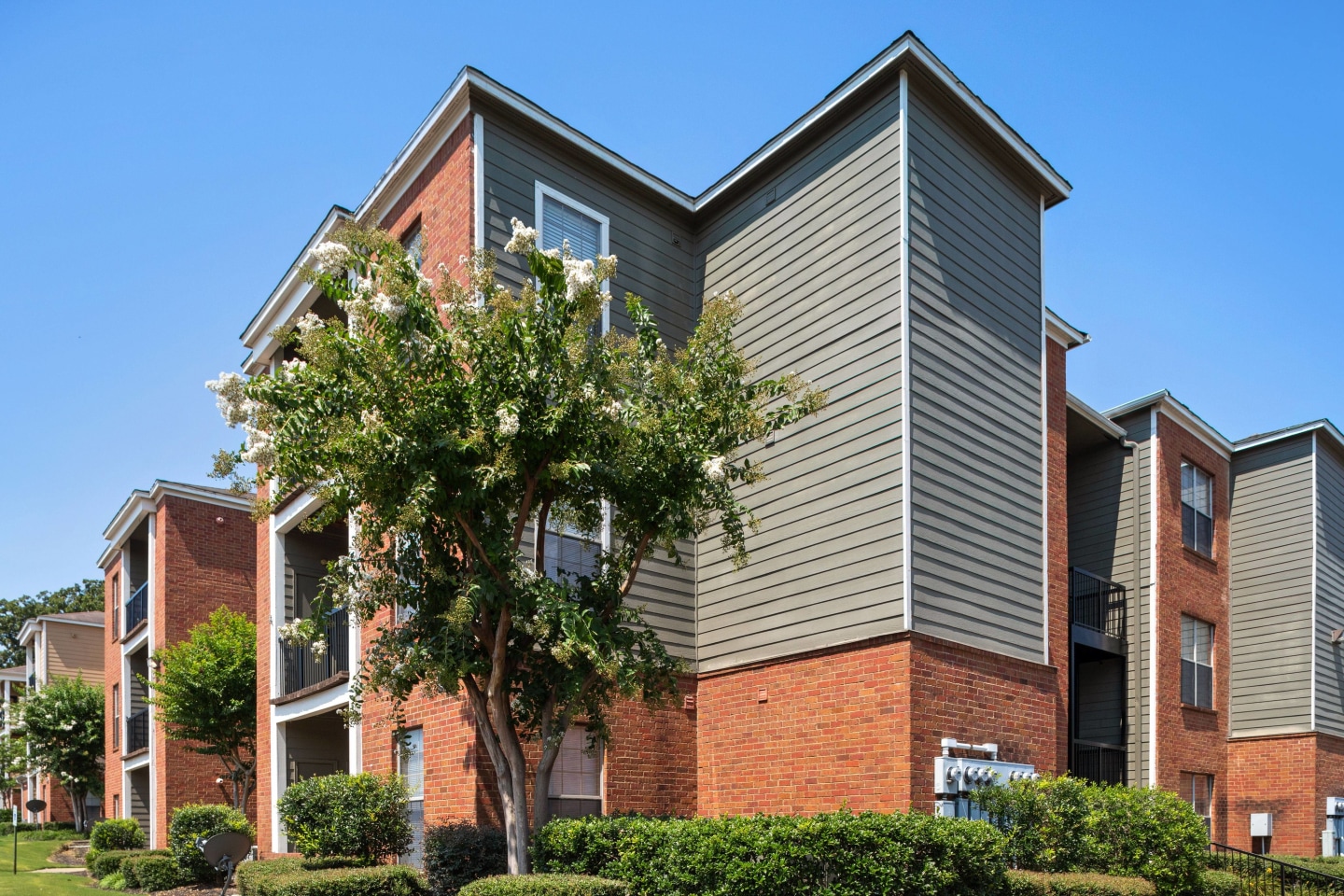 Walnut Hill Image 22