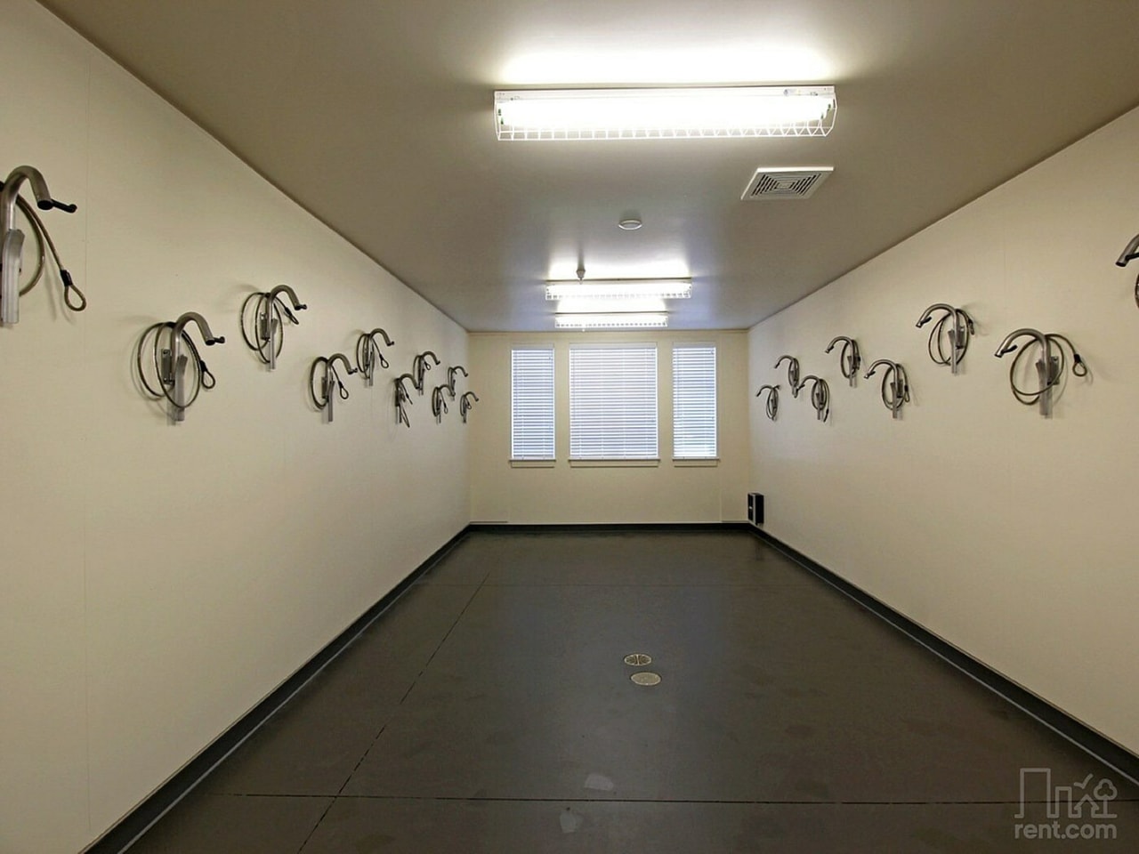 The Cameron Image 22