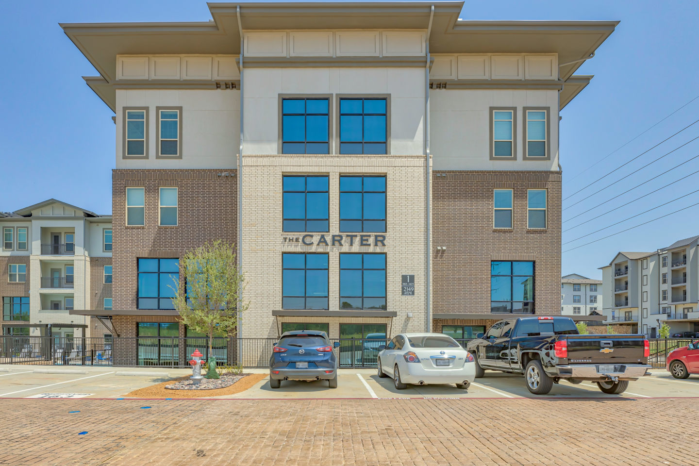 The Carter Image 28