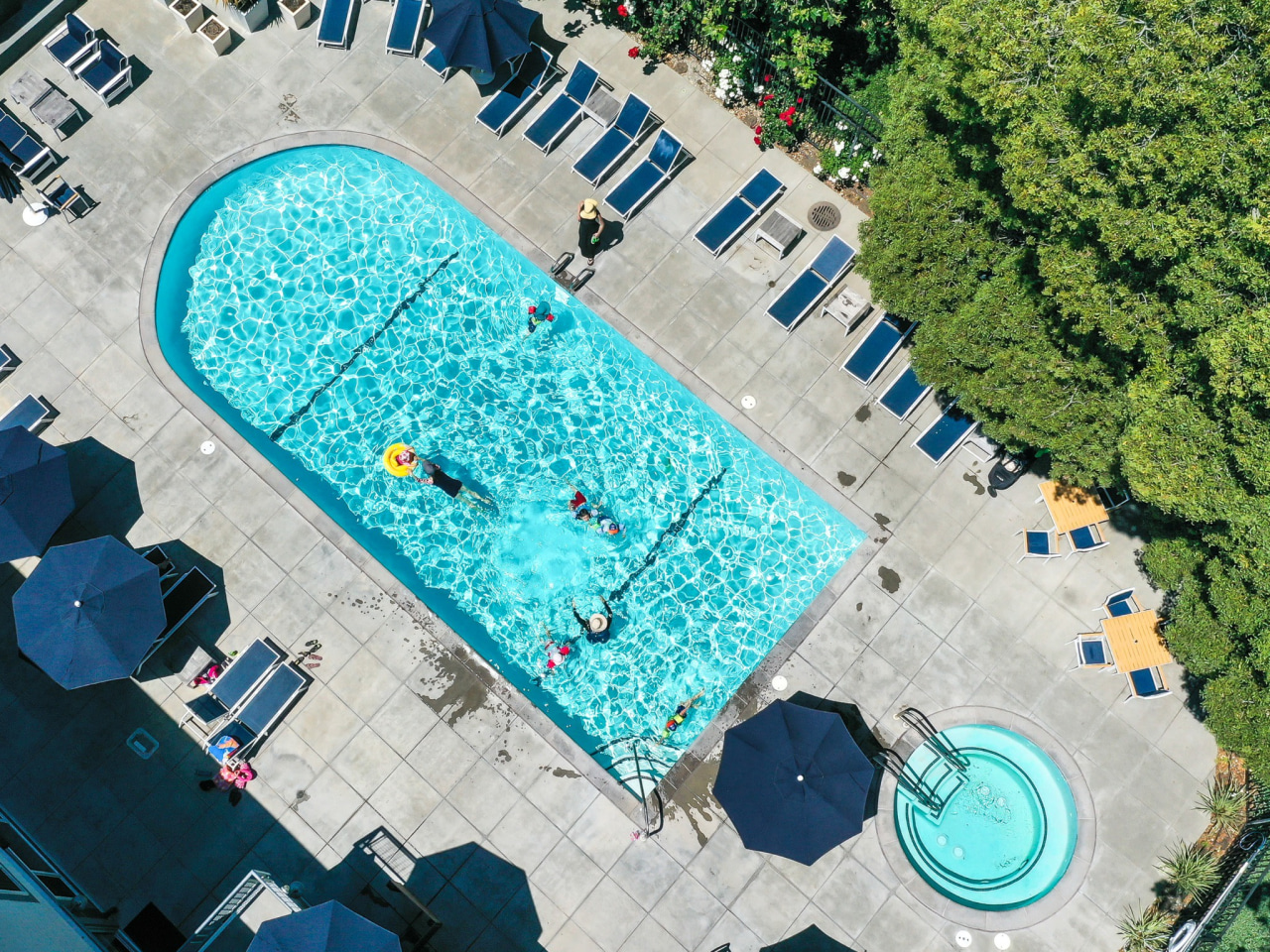 Serenity at Larkspur Image 1