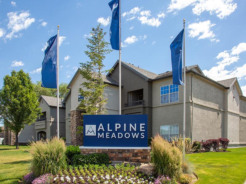Alpine Meadows Image 1