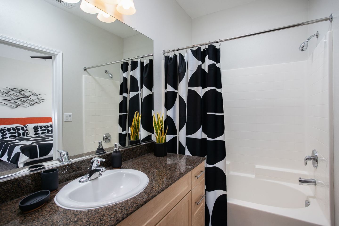 Stadium House Apartments Image 11