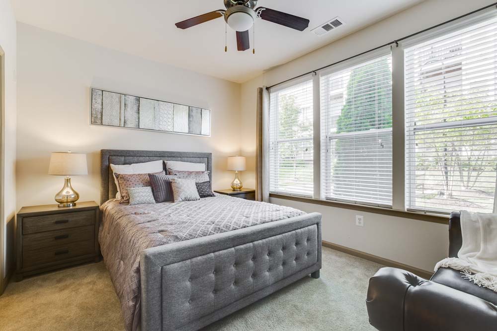 Summerfield at Morgan Metro Image 15