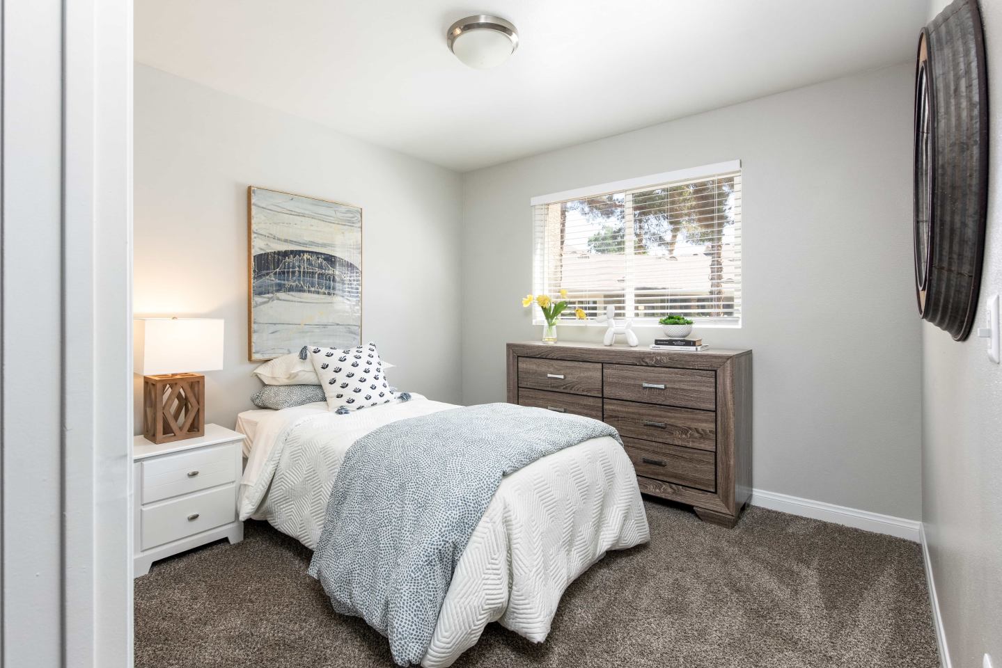 Amara Spring Valley Apartments Image 10