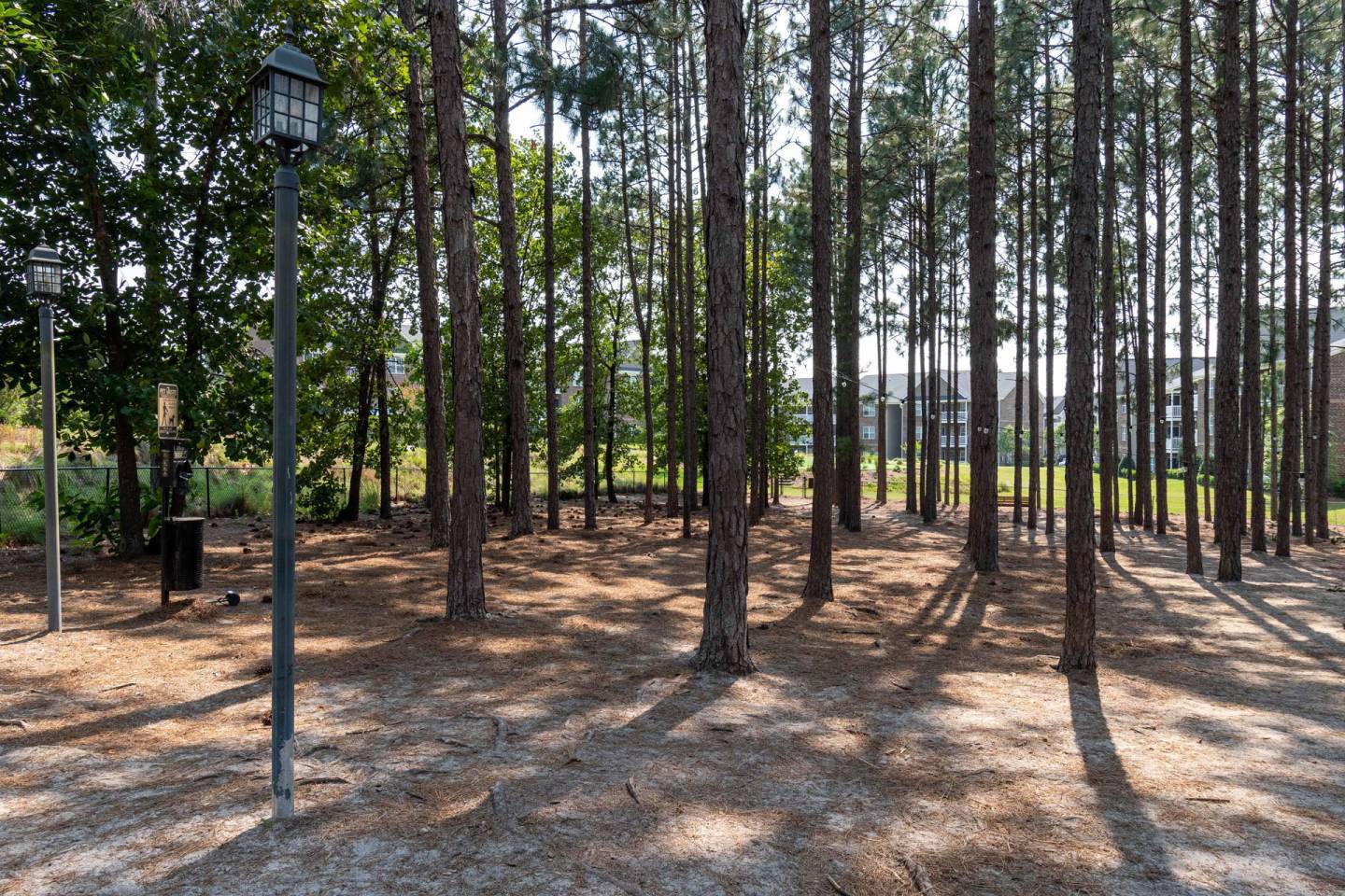 Luxe and Legends at Morganton Park Image 41