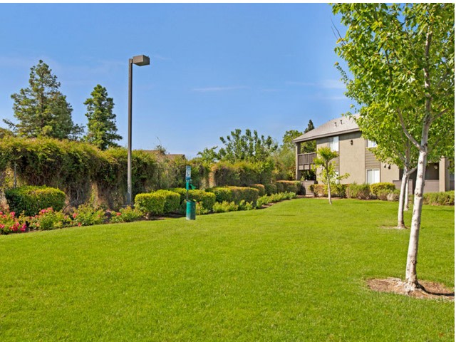 Morningside Creek Apartments Image 18