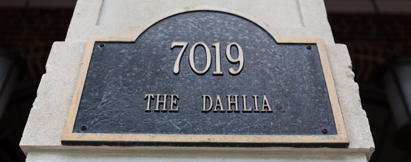 The Dahlia Image 33