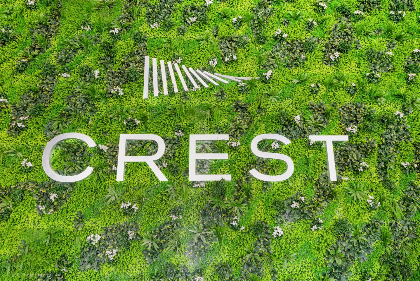 Crest at Pinecrest Image 18