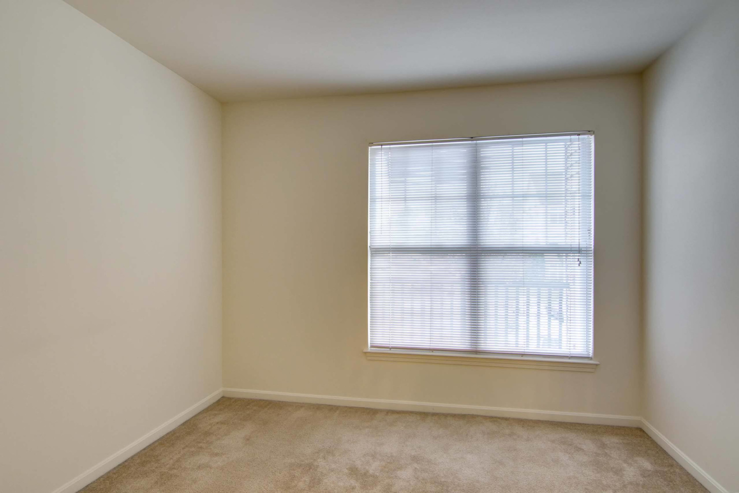 Prynne Hills Image 64