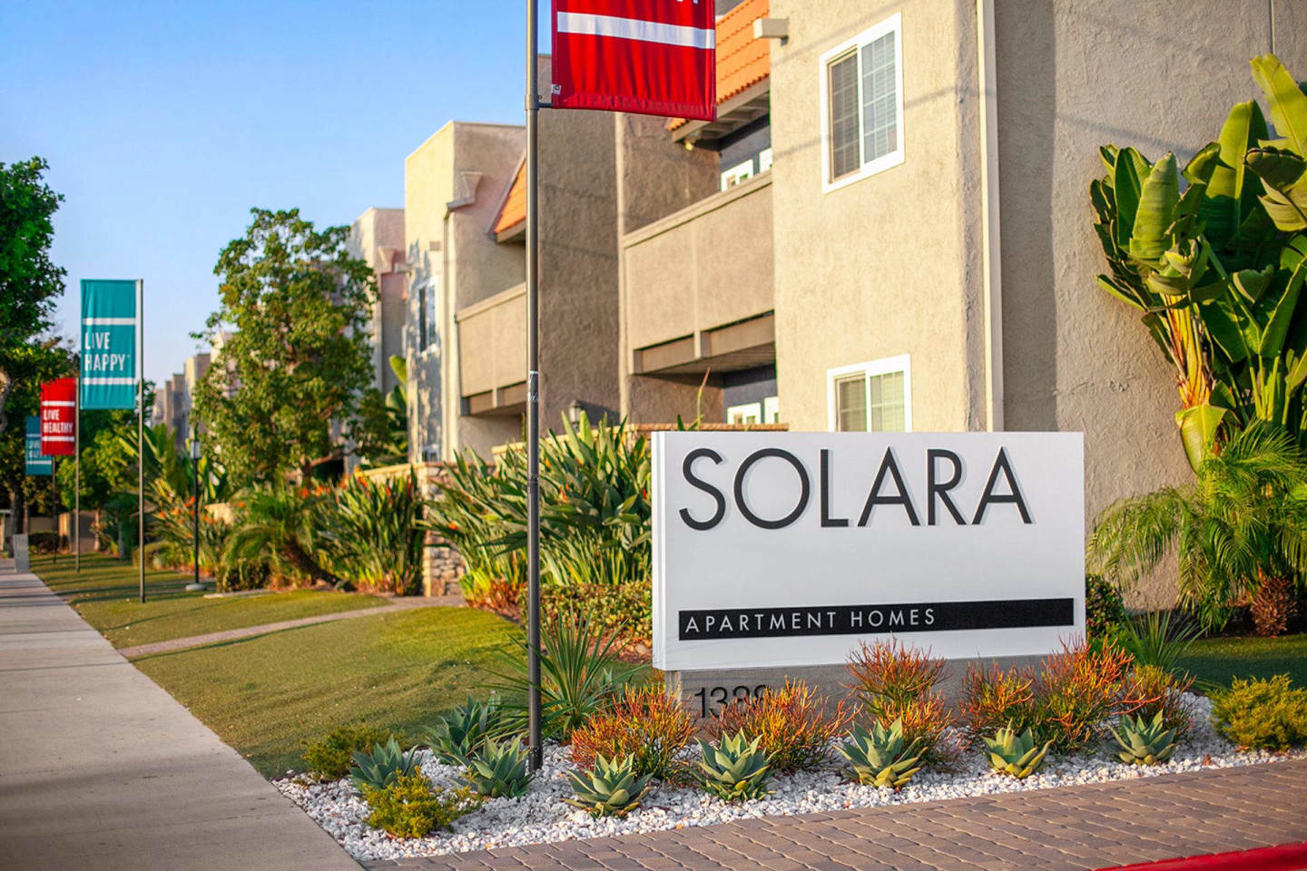 Solara Image 20