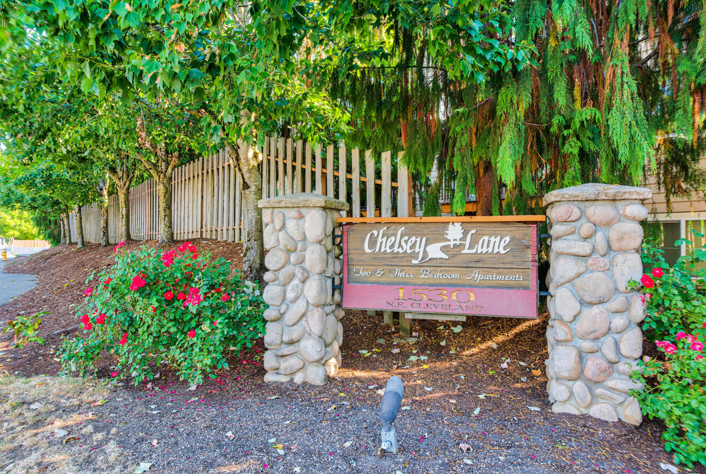 Chelsey Lane Image 36