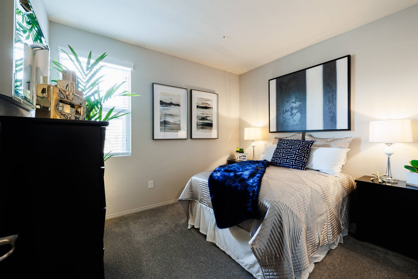 Gallery Apartments Image 15