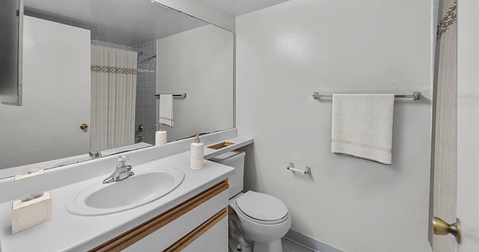 La Vue at Emerald Pointe Image 10