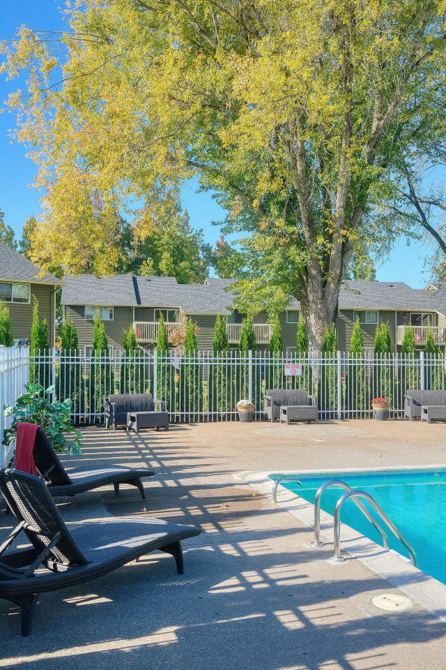 Chalet Apartments Image 14