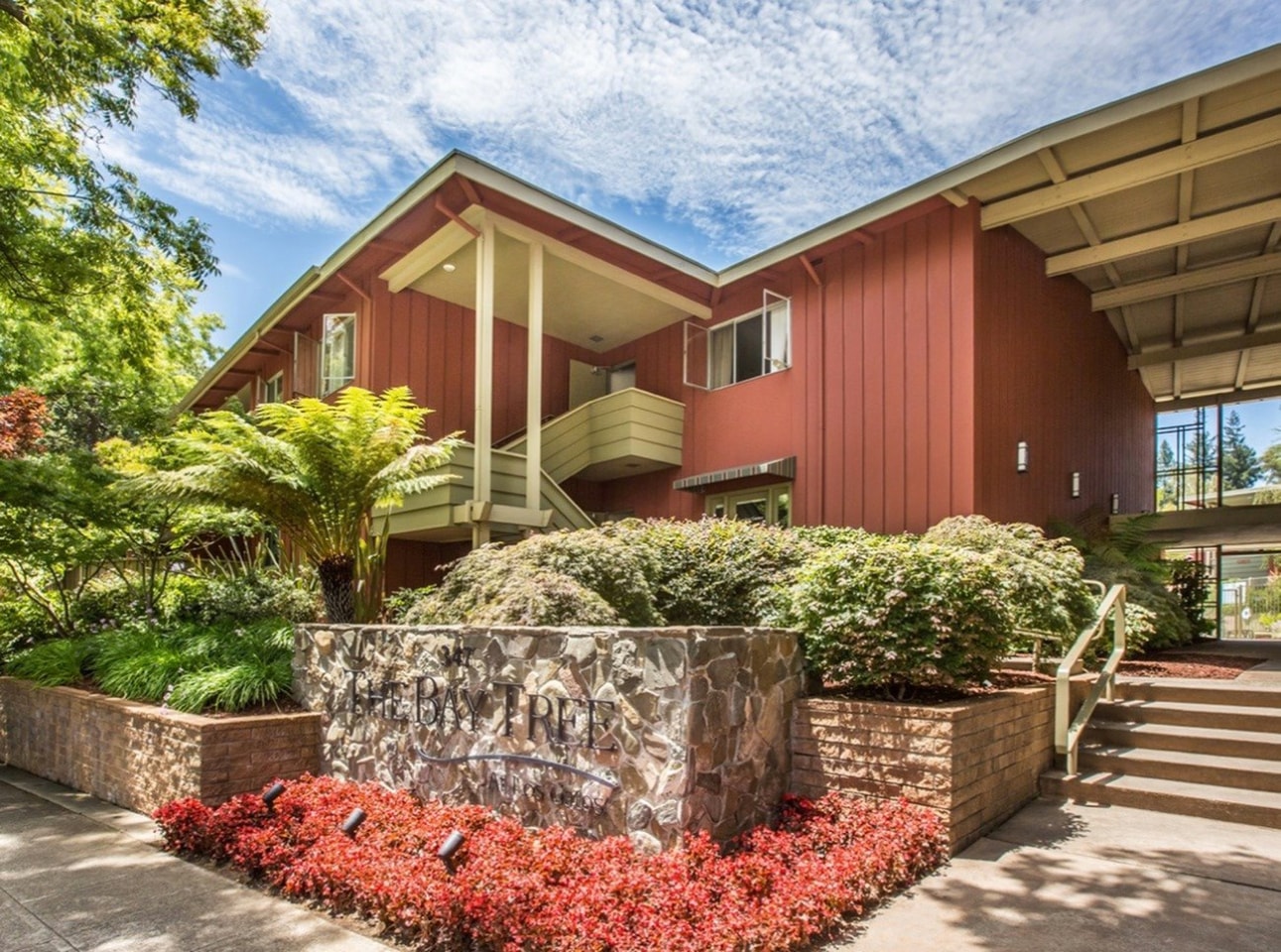 Bay Tree Image 42