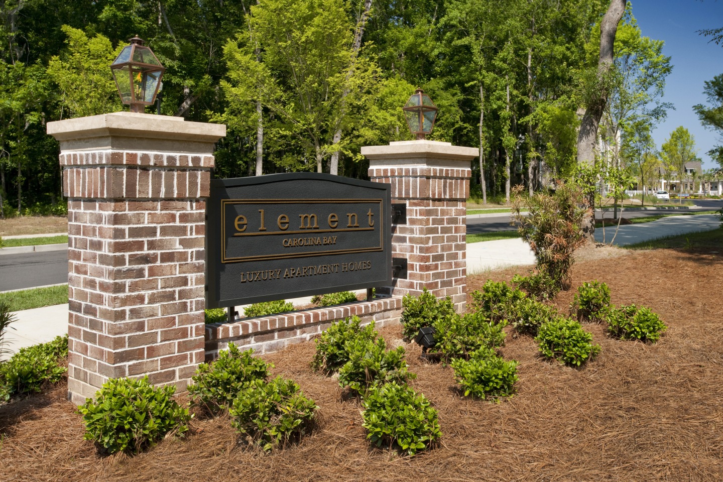 Element Carolina Bay Image 43