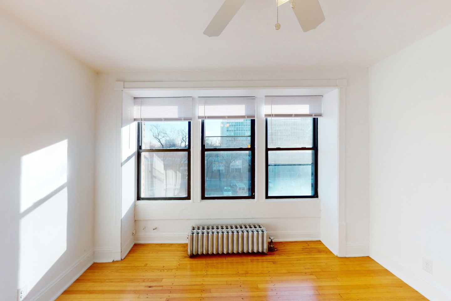 5457-5459 S. Blackstone Avenue Image 4
