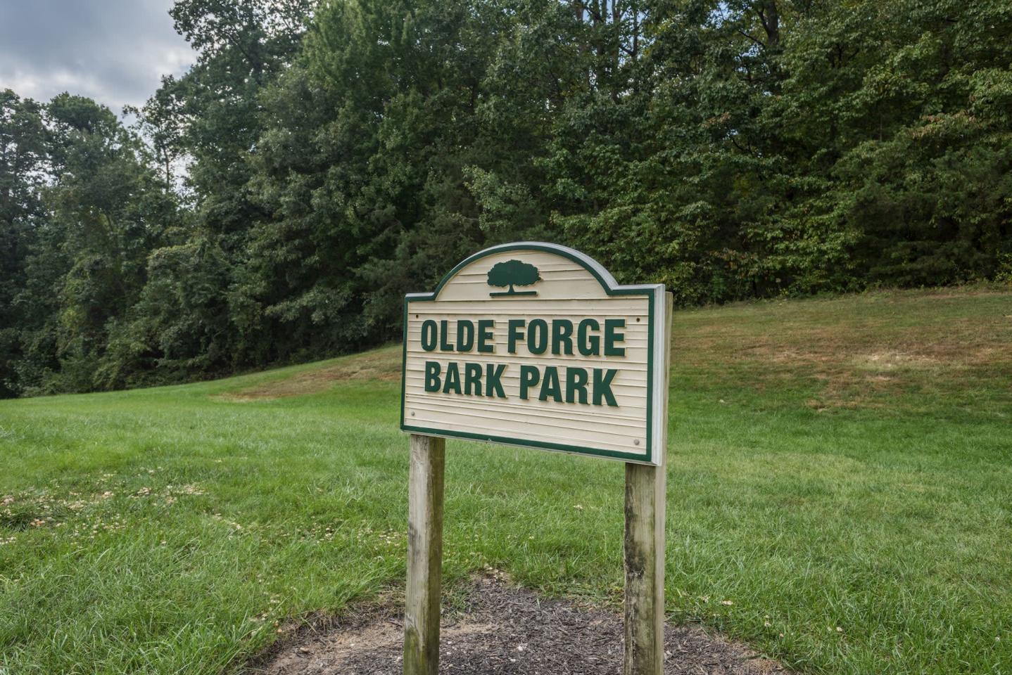 Olde Forge Image 23