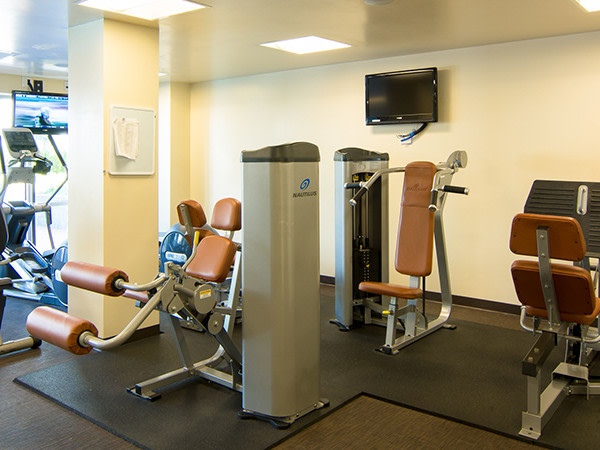 Mercer Image 37