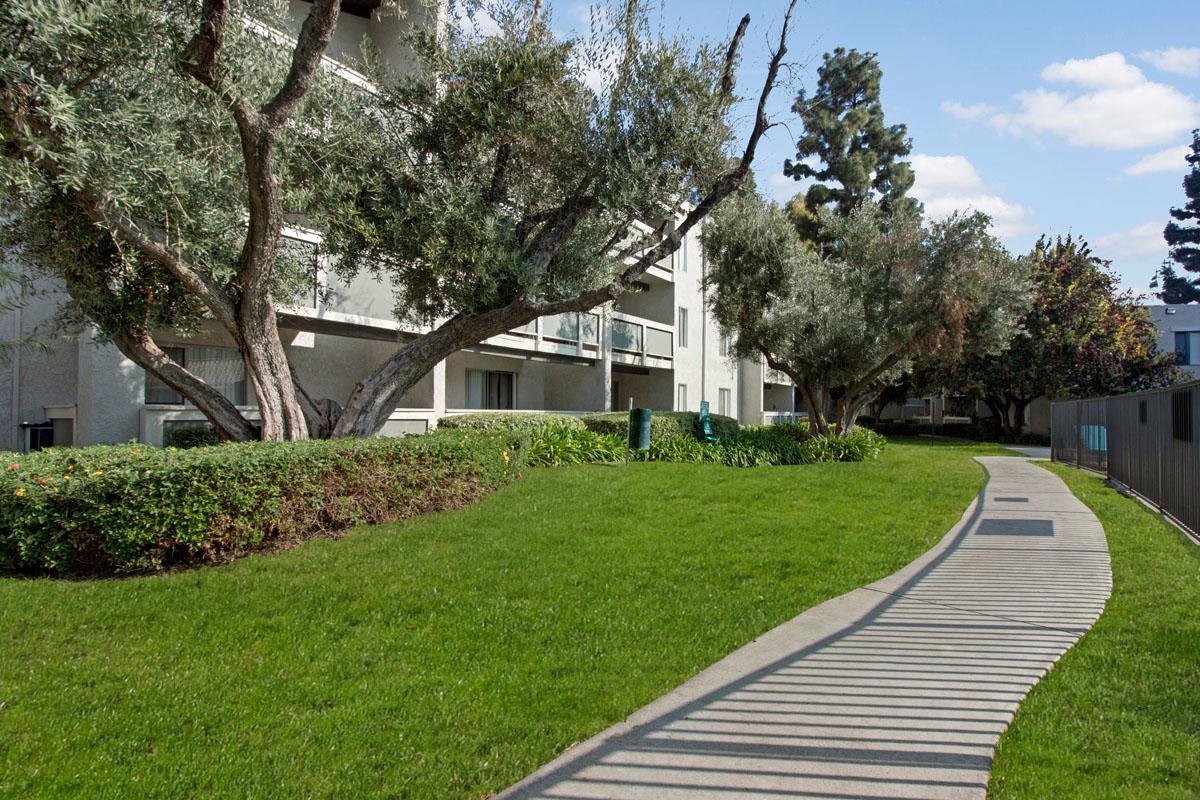 Olive Ridge Apartments Image 26